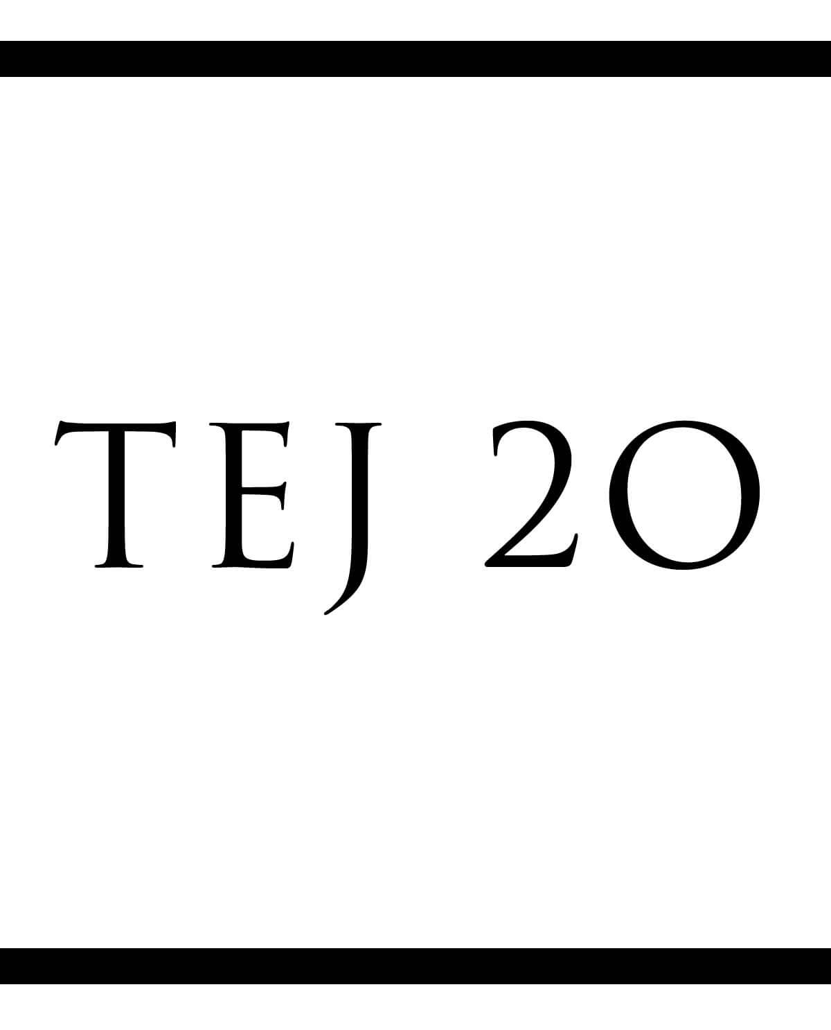 TEJ 20 Computer Technology